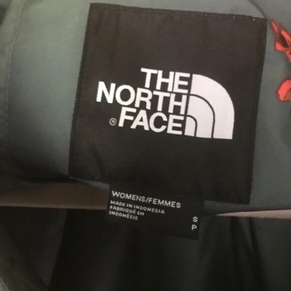 The North Face Descendit Jacket in Balsam Green Aprés Flower GORGEOUS ! - Picture 2 of 6